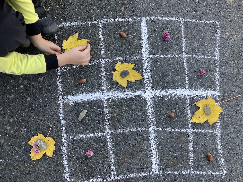 Sudoku in der Natur